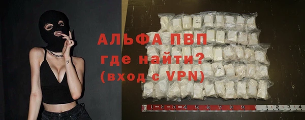 mdpv Бородино