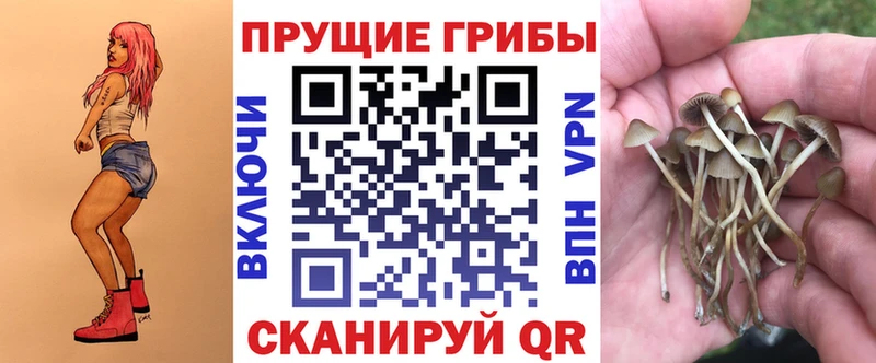 Галлюциногенные грибы Psilocybe  Балтийск 